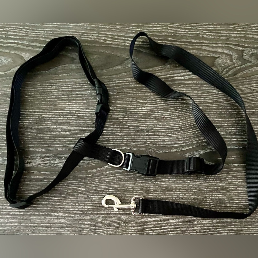 Durable Black  Hands Free Dog Leash